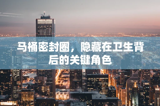 马桶密封圈，隐藏在卫生背后的关键角色