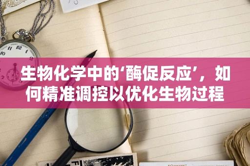 生物化学中的‘酶促反应’，如何精准调控以优化生物过程？