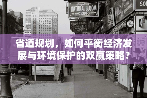 省道规划，如何平衡经济发展与环境保护的双赢策略？