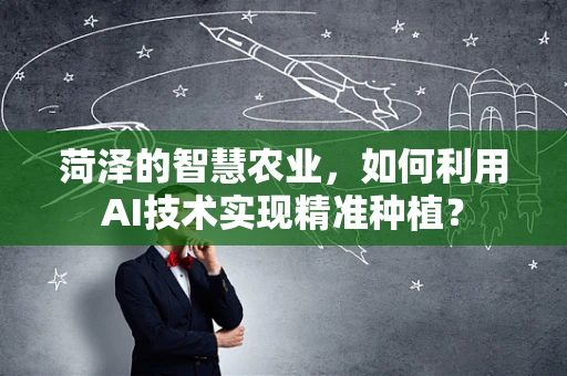 菏泽的智慧农业，如何利用AI技术实现精准种植？