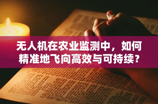 无人机在农业监测中，如何精准地飞向高效与可持续？