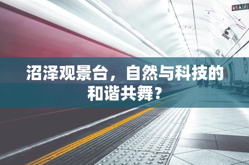 沼泽观景台，自然与科技的和谐共舞？