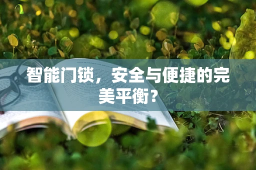 智能门锁，安全与便捷的完美平衡？