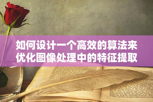 如何设计一个高效的算法来优化图像处理中的特征提取？