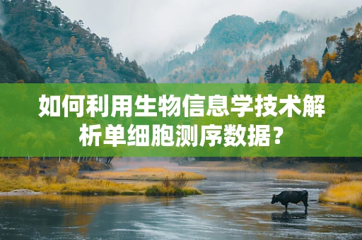如何利用生物信息学技术解析单细胞测序数据？