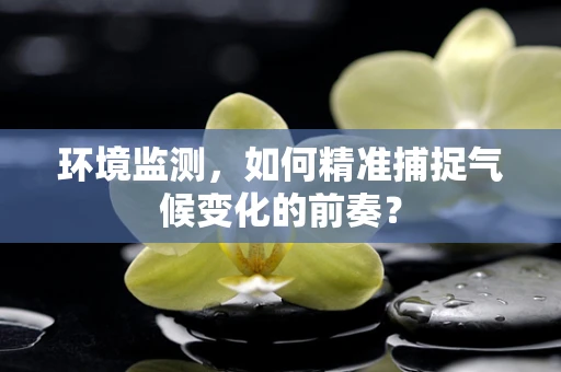 环境监测，如何精准捕捉气候变化的前奏？