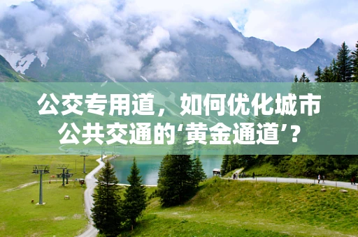 公交专用道，如何优化城市公共交通的‘黄金通道’？