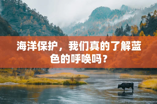 海洋保护，我们真的了解蓝色的呼唤吗？