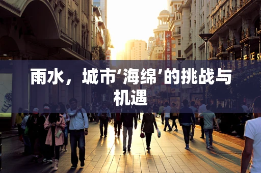 雨水，城市‘海绵’的挑战与机遇