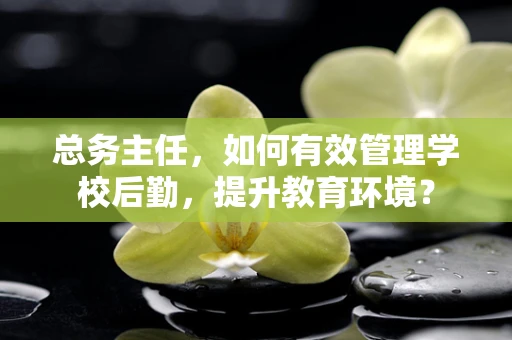 总务主任，如何有效管理学校后勤，提升教育环境？