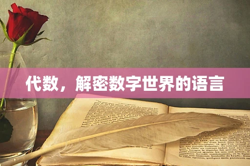 代数，解密数字世界的语言