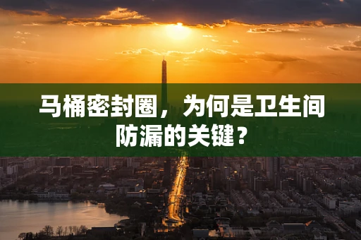马桶密封圈，为何是卫生间防漏的关键？