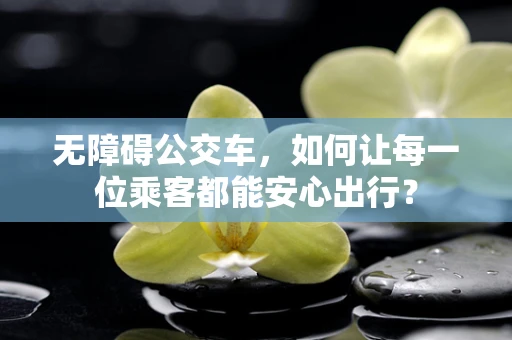 无障碍公交车，如何让每一位乘客都能安心出行？