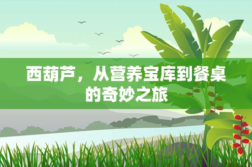 西葫芦，从营养宝库到餐桌的奇妙之旅