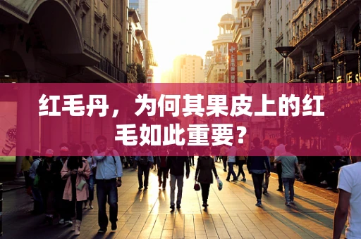 红毛丹，为何其果皮上的红毛如此重要？