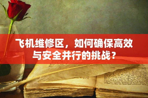 飞机维修区，如何确保高效与安全并行的挑战？