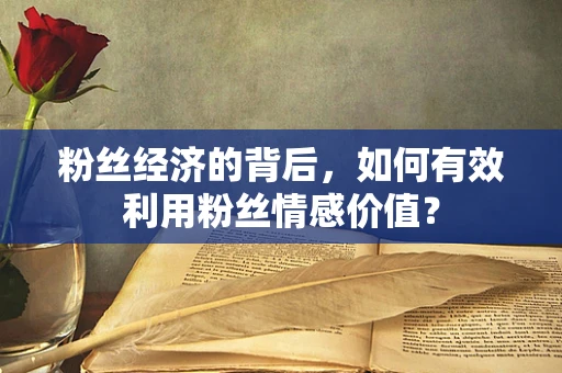 粉丝经济的背后，如何有效利用粉丝情感价值？