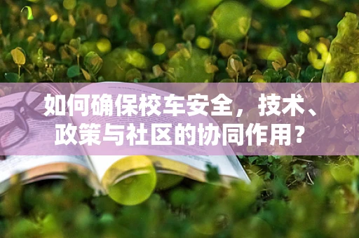 如何确保校车安全，技术、政策与社区的协同作用？