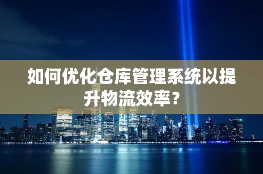 如何优化仓库管理系统以提升物流效率？