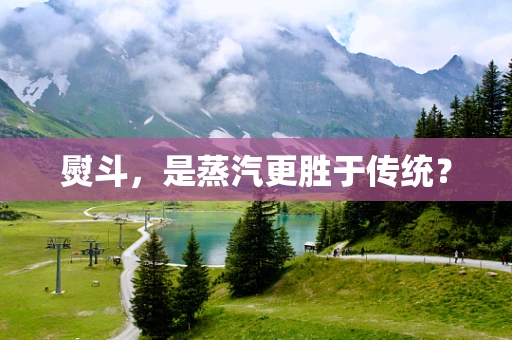 熨斗，是蒸汽更胜于传统？