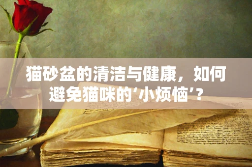 猫砂盆的清洁与健康，如何避免猫咪的‘小烦恼’？