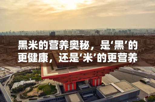 黑米的营养奥秘，是‘黑’的更健康，还是‘米’的更营养？