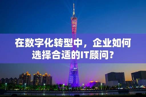 在数字化转型中，企业如何选择合适的IT顾问？