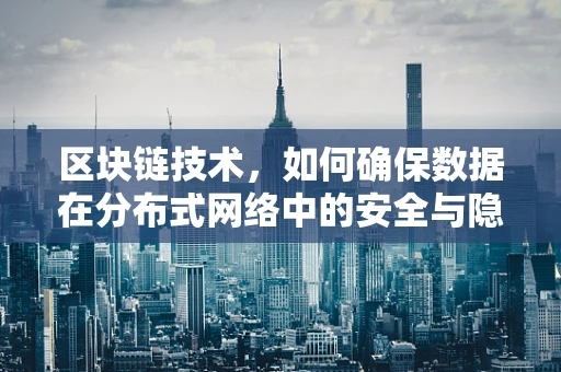 区块链技术，如何确保数据在分布式网络中的安全与隐私？