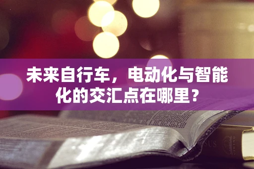 未来自行车，电动化与智能化的交汇点在哪里？