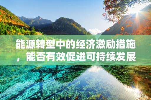 能源转型中的经济激励措施，能否有效促进可持续发展？
