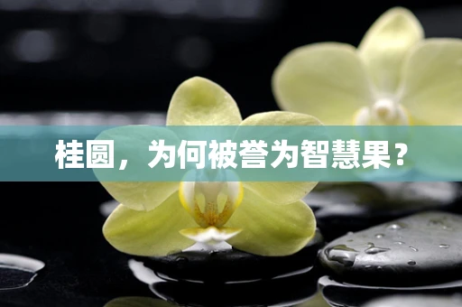 桂圆，为何被誉为智慧果？