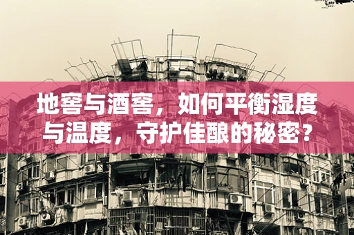 地窖与酒窖，如何平衡湿度与温度，守护佳酿的秘密？