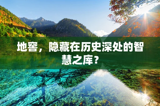 地窖，隐藏在历史深处的智慧之库？