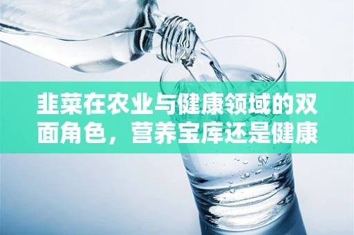 韭菜在农业与健康领域的双面角色，营养宝库还是健康隐患？