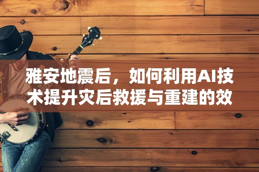 雅安地震后，如何利用AI技术提升灾后救援与重建的效率？