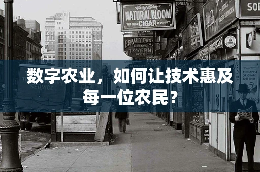 数字农业，如何让技术惠及每一位农民？