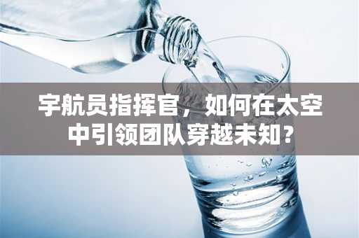宇航员指挥官，如何在太空中引领团队穿越未知？