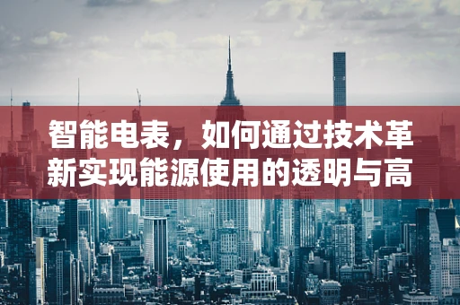 智能电表，如何通过技术革新实现能源使用的透明与高效？