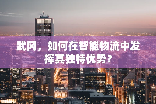 武冈，如何在智能物流中发挥其独特优势？