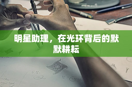 明星助理，在光环背后的默默耕耘