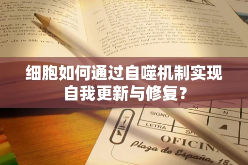 细胞如何通过自噬机制实现自我更新与修复？