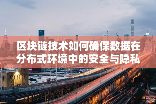 区块链技术如何确保数据在分布式环境中的安全与隐私？