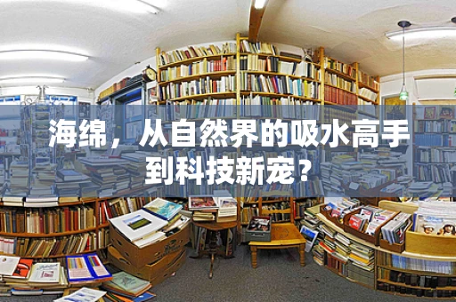 海绵，从自然界的吸水高手到科技新宠？