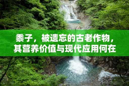 黍子，被遗忘的古老作物，其营养价值与现代应用何在？