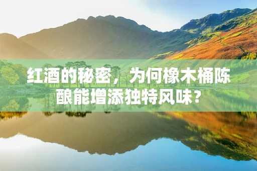 红酒的秘密，为何橡木桶陈酿能增添独特风味？