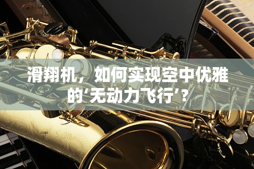 滑翔机，如何实现空中优雅的‘无动力飞行’？
