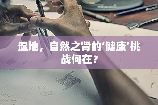 湿地，自然之肾的‘健康’挑战何在？