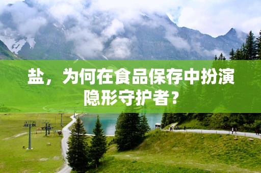盐，为何在食品保存中扮演隐形守护者？
