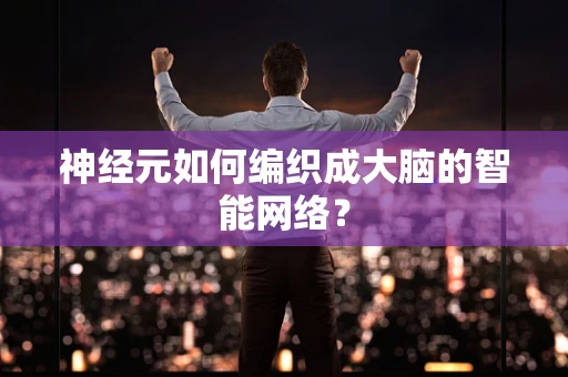 神经元如何编织成大脑的智能网络？