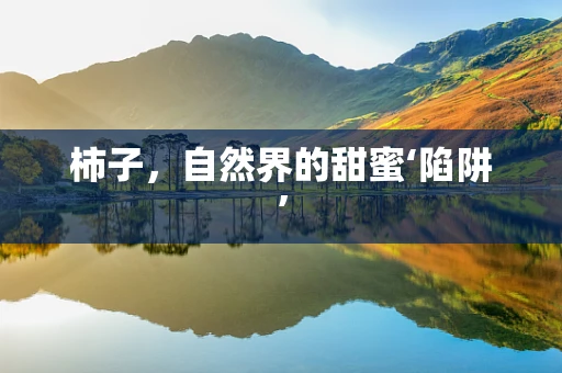 柿子，自然界的甜蜜‘陷阱’